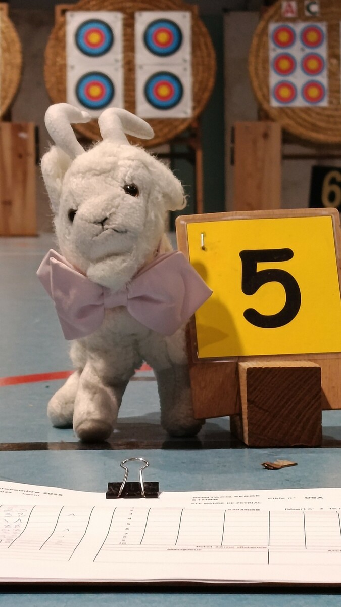 Lorsque MEZIN rime avec succés .